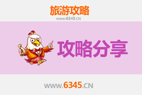 新北泰山出发：厦门鼓浪屿深度旅游攻略与行程规划