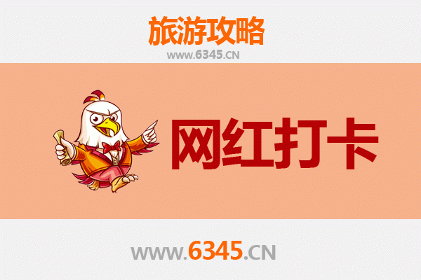 资深旅游博主亲测：从新北泰山出发，深度漫游丽江古城全攻略